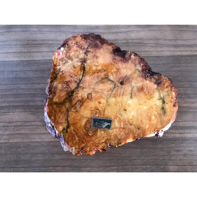 Roman Hand-Worked Alabaster Smoke Set, Italy, 1960s, Set of 3 For Sale - Image 4 of 18