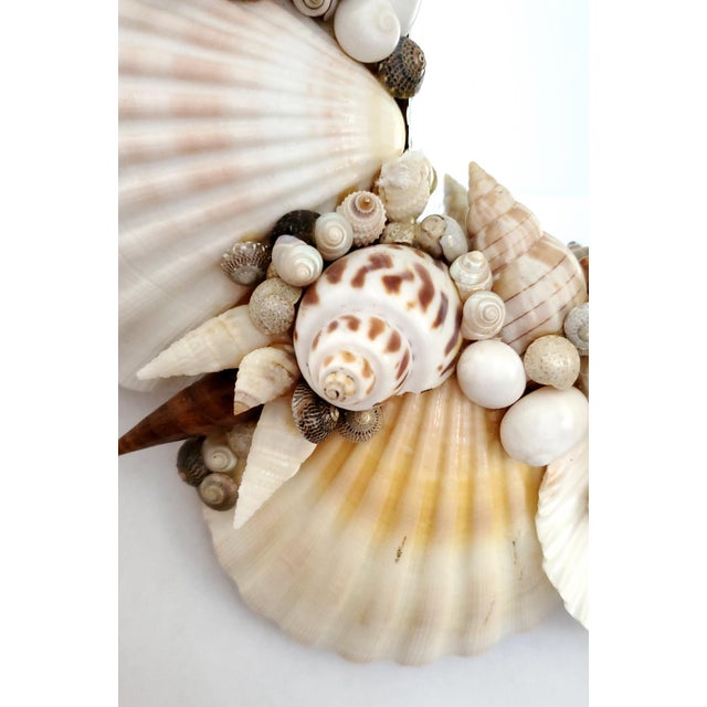 Shell Seashell White Wall Mirror For Sale - Image 9 of 14