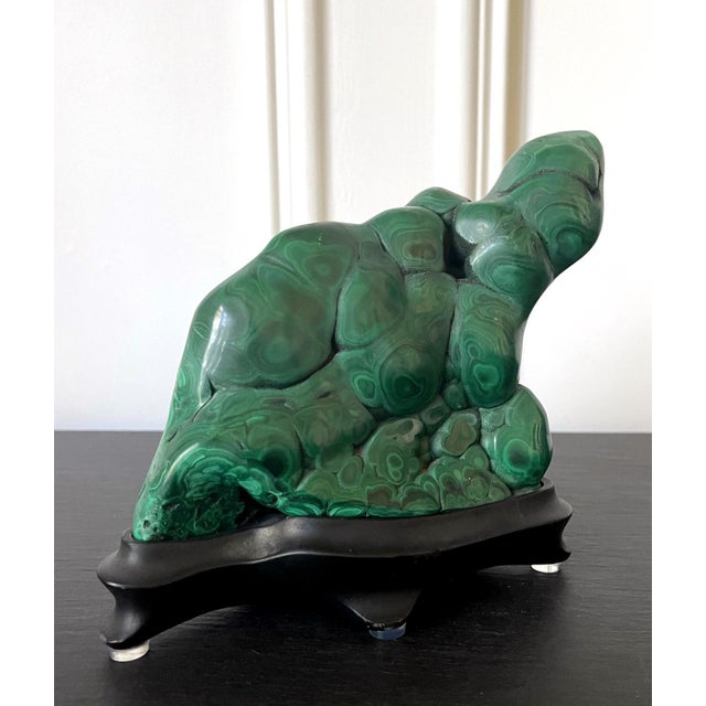 A malachite rock specimen with intense green and black colors fitted on a wood stand. The gemstone in the botryoidal form...
