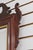 Councill Craftsmen Chippendale Mahogany Mirror For Sale - Image 10 of 13