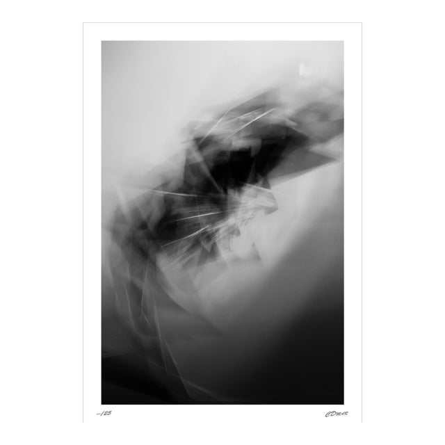 Chris Delmar Limited Edition Photograph No. 6908 — 16 × 24 In. For Sale