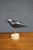 Early 20th Century Carved Black Crow Folk Art Decoy on Wood Base For Sale - Image 4 of 12
