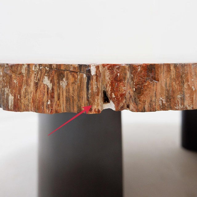 Red Arizona Petrified Wood Coffee Table For Sale - Image 13 of 16