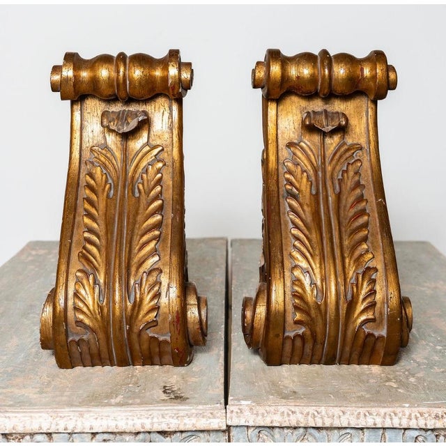 Pair of 19th Century European Giltwood Acanthus Corbels For Sale - Image 4 of 15