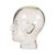 Heavy Glass Head Display Mannequin for Headphones, 1960s For Sale - Image 4 of 16