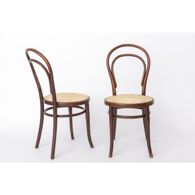 Antique Bentwood Chairs from Gebrüder Thonet, 1890s, Set of 2 For Sale - Image 5 of 12
