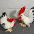 Two happy roosters hangin out lookin for seeds and good times. Original label affixed to larger rooster. Large rooster-...