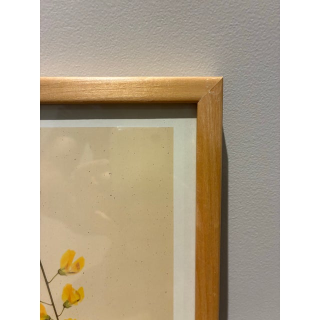 Late 20th Century Pair of Kristina Fine Botanical Floral Prints – Golden Chain & Bleeding Heart, Framed For Sale - Image 5 of 7