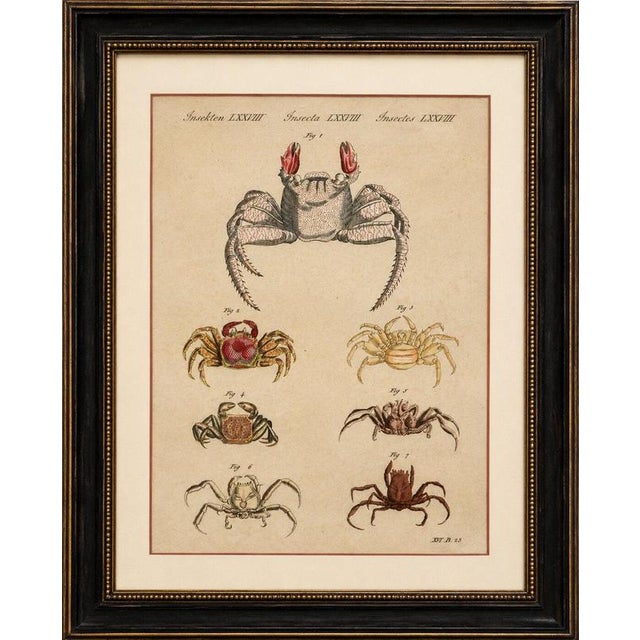 Title: antique exotic crabs & fiddler crab engraving – bertuch, c. 1813 original antique hand-colored copper engraving...