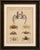Title: antique exotic crabs & fiddler crab engraving – bertuch, c. 1813 original antique hand-colored copper engraving...