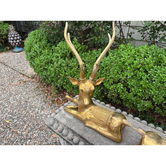 1960s Pair of Hollywood Regency Brass Stags For Sale - Image 11 of 13