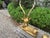 1960s Pair of Hollywood Regency Brass Stags For Sale - Image 11 of 13