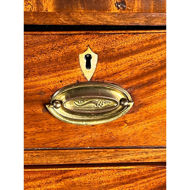 Wood Antique George III Two Over Four Chest With French Feet C. Early 19th Century For Sale - Image 7 of 10