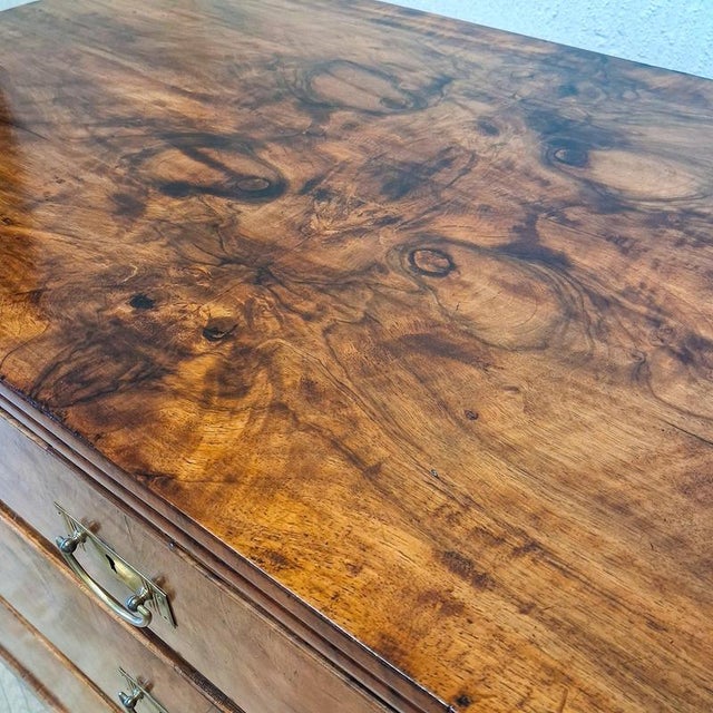 Vintage Biedermeier Chest of Drawers in Walnut, 1830s For Sale - Image 6 of 18
