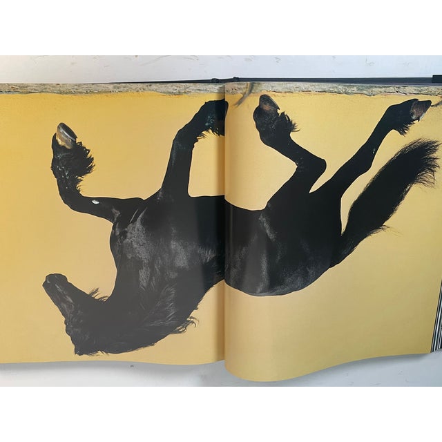 Paper 1970s Fabulous Book on Horses Illustrated For Sale - Image 7 of 8