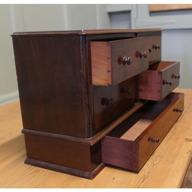 Vintage Display Cabinet in Mahogany For Sale - Image 5 of 7