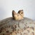 Mid-Century Modern Studio Art Pottery Elephant With Bird, Stoneware For Sale - Image 4 of 12