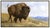 Message us to inquire about custom framing options! (Included for free with every purchase) The artwork here, The artwork...