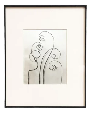 Karl Blossfeldt, Natural Grace, 1942, Photogravure, Framed