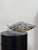Large-scale mid-century Murano modern art glass fish sculpture, featuring an opaline/milky body with multicolor confetti...