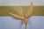 Mid Century Modern Carved Teak Bird of Paradise & Leaf Botanical Arrangement 46" For Sale - Image 9 of 15