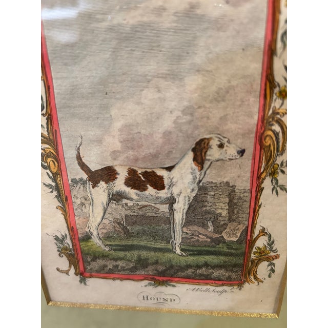 Framed 18th Century Dog Engravings -A Pair For Sale - Image 11 of 11