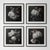 Set of 4 - Art Wall Installation 40" X 40" - 'Blossoming Flowers' - Limited Edition Botanical Photograph Prints For Sale - Image 12 of 12