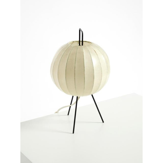 Mid-Century Modern Tripod Cocoon Table Lamp, 1950s For Sale - Image 11 of 18