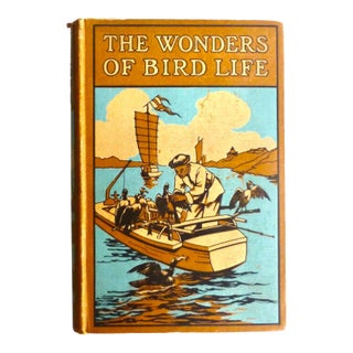 1917 the Wonders of Bird Life, Illustrated For Sale