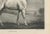 After Chalon, Mambrino Thoroughbred Horse Portrait, 1840, Lithograph For Sale - Image 7 of 9