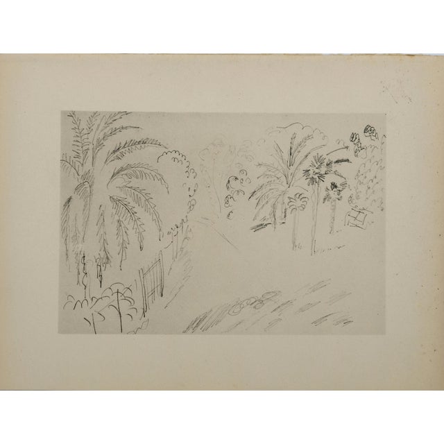 Henri Matisse, Jardin luxuriant, Lithograph For Sale