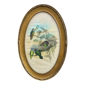 Victorian Style Framed Giltwood Watercolor on Paper Tropical Parrots / Birds