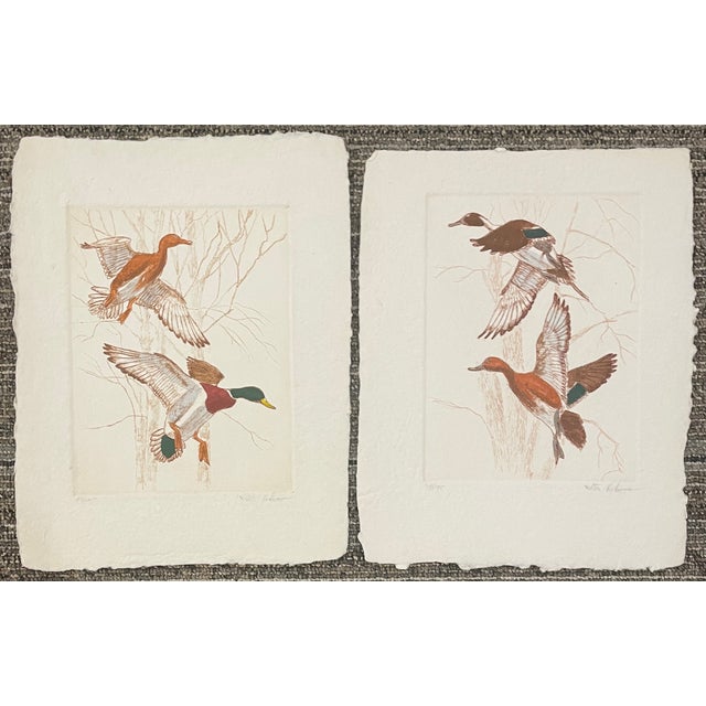 Traditional Pair of Victor Hohne Pintails and Mallards Etchings For Sale - Image 3 of 3