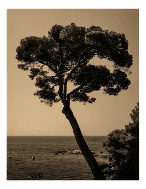 Ugne Pouwell, Prevail, 2022, Photography