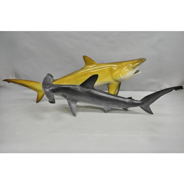 邦楽 vase by the window hammer head shark 9B1BE87F-FB8D-48D7-B35F-