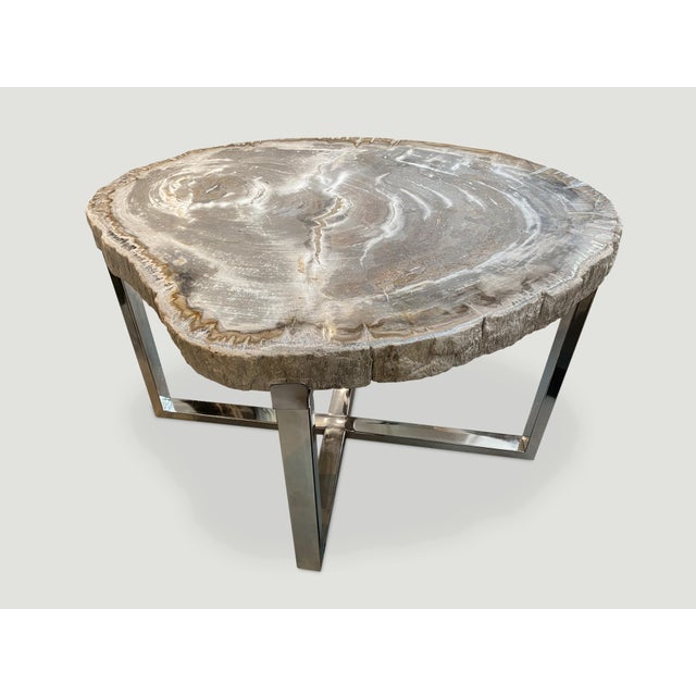Andrianna Shamaris High Quality Petrified Wood Slab Top Side Table For Sale - Image 11 of 18