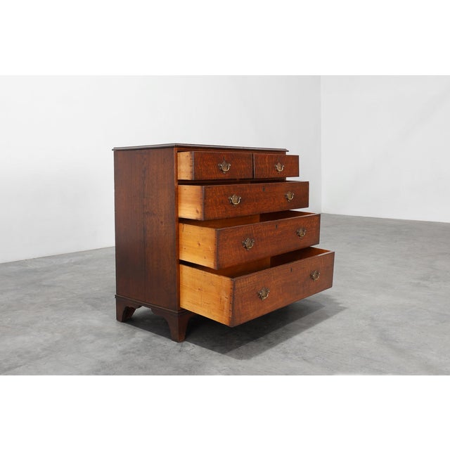 Brown Georgian Chest of Drawers, United Kingdom, 19th Century For Sale - Image 8 of 16