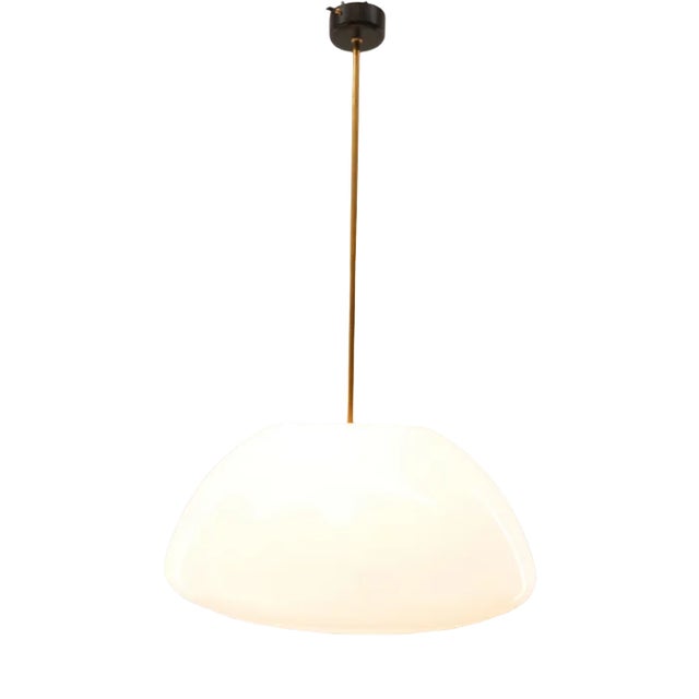 Vintage Plastic Pendant with Brass Rod For Sale