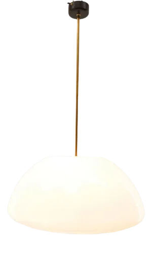 Vintage Plastic Pendant with Brass Rod