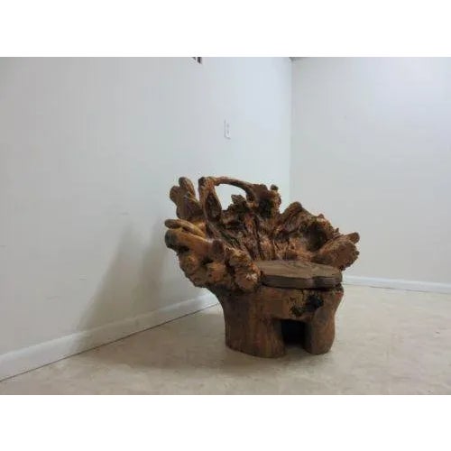 Mid-Century Modern Vintage Mid Century Free Form Live Edge Root Lounge Chair For Sale - Image 3 of 11