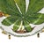 Ceramic Taitù Natura Botanical Bread Plates by Emilio Bergamin, Italy 1992, Set of 3, 6.5" For Sale - Image 7 of 9