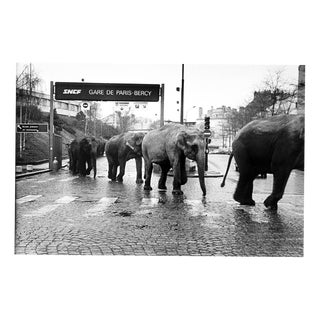José Nicolas, American Circus at Bercy Station, Paris, 1985, Silver print For Sale