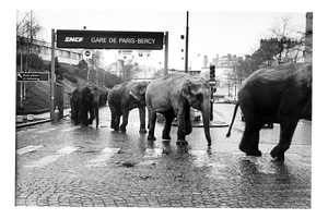 José Nicolas, American Circus at Bercy Station, Paris, 1985, Silver print