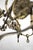 Antique Chandelier with Fifteen Bulbs For Sale - Image 17 of 18