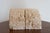 Stone Fossilized Coral Limestone Bookends (Set) For Sale - Image 7 of 10