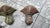 Art Nouveau Cast Iron Bathtub Legs with Eagle Claw Design, Set of 4 For Sale - Image 4 of 8