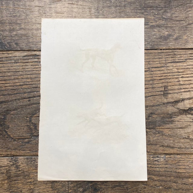 French Antique 18th Century "Le Grand Danois" Dog Engraving Hand Colored Signed Artwork For Sale - Image 12 of 12