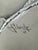 1940s 1940s Original Signed Graphite Illustration of Baby Portrait, 11.5 × 9 In. For Sale - Image 5 of 6
