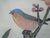 Little Bluebird Among the Cherry Blossoms With Bamboo Accent Dinner Napkins, a Set of Four Vintage An adorable little blue...
