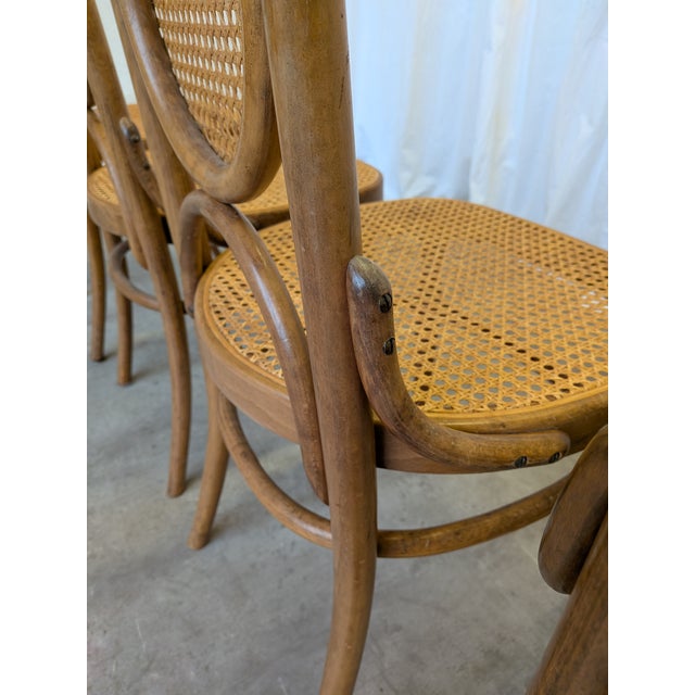 Brown Vintage Bentwood and Cane Dining Chairs, Former Yugoslavia, 1970s, Set of 4 For Sale - Image 8 of 17